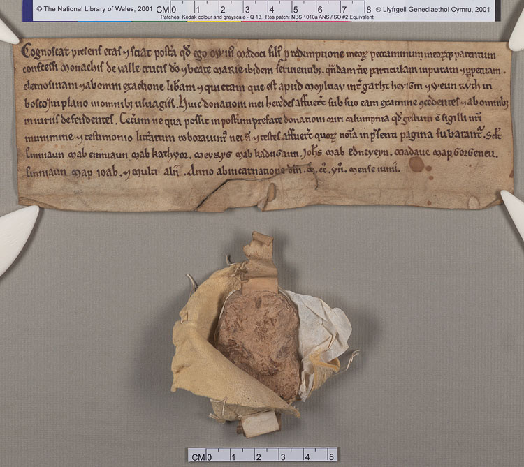 NLW Wynnstay Estate Records, Ystrad Marchell charter no.101 (front)