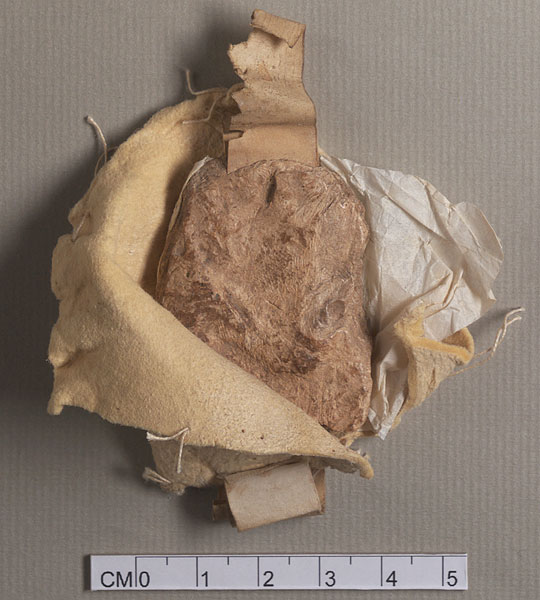 NLW Wynnstay Estate Records, Ystrad Marchell charter no.101 (seal)