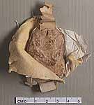 NLW Wynnstay Estate Records, Ystrad Marchell charter no.101 (seal)